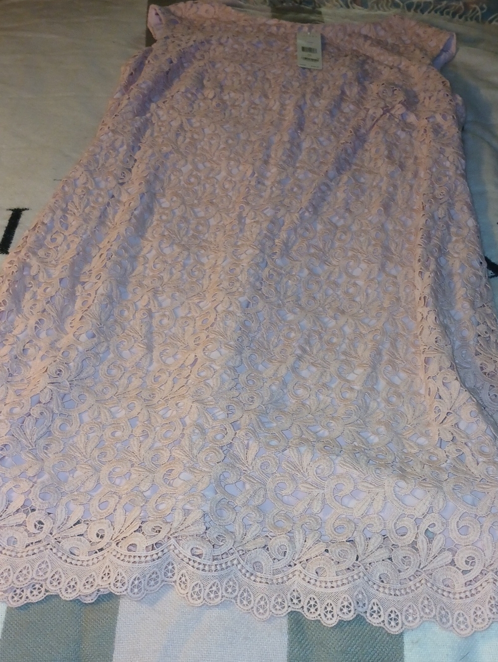 Lauren Ralph Lauren Pale Pink Lace Midi Dress